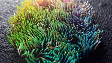 Vibrant Abstract Shapes in Motion wallpaper