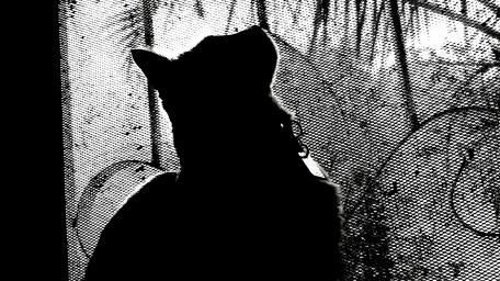 Silhouette of a Cat in Abstract Art wallpaper