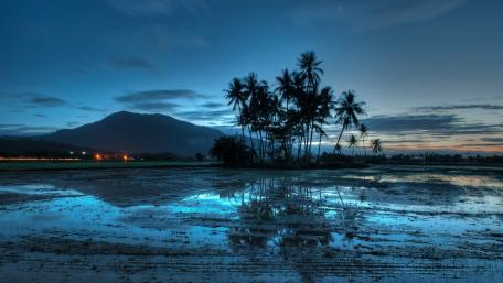 Tranquil Evening at the Beach wallpaper
