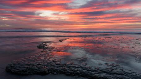 Pink Serenity Over the Sea Horizon 5K wallpaper