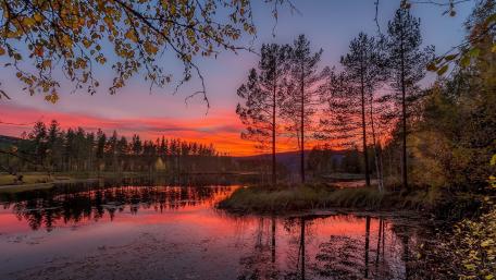 Autumn Sunset Over Serene Riparian Scenery wallpaper