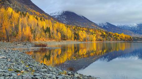 Alaska Fall River wallpaper