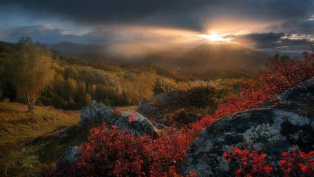 Vibrant Autumn Sunset Over Rolling Hills wallpaper