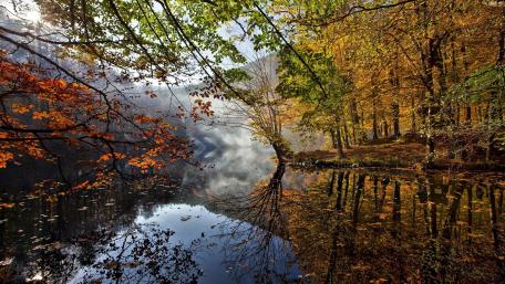 Autumn Serenity in Nature's Reflection wallpaper