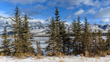 Serene Winter Landscape with Mountains and Snowy Pines wallpaper