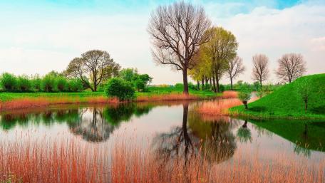 Serene Spring Reflections in Nature wallpaper