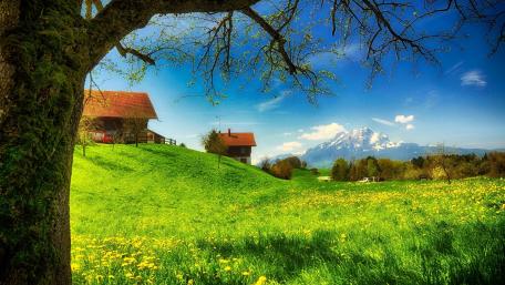 Serene Cottage in a Vibrant Field with Mountains Nearby wallpaper