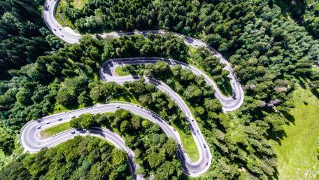 Winding Road Through Lush Forests wallpaper