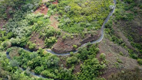 Serpentine Road Through Lush Greenery in Aerial View wallpaper