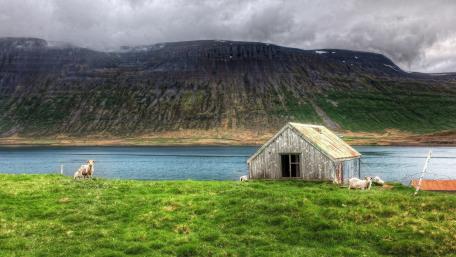 Tranquil Lakeside Barn with Gentle Sheep Herding in Nature's Embrace wallpaper