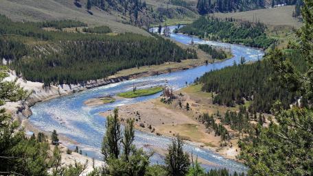 Yellowstone River wallpaper