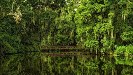 Magnolia Plantation and Gardens wallpaper