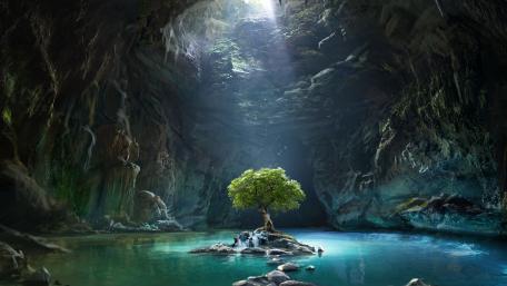 Tree of Life wallpaper