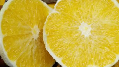 Bright and Juicy Lemon Halves for Your Screen wallpaper
