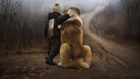 Heartwarming Bond Between Child and Dog wallpaper