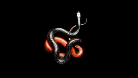 Black Serpent on AMOLED Display wallpaper