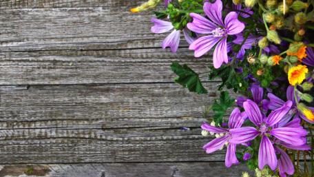Floral Elegance on Rustic Wood Planks wallpaper