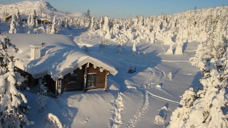 Winter Wonderland Cottage Escape wallpaper