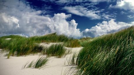 Serene Dunes Under a Dramatic Sky wallpaper