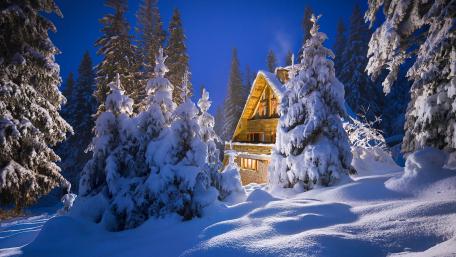 Winter Cottage Amidst Snowy Pines wallpaper