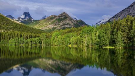 Wedge Pond wallpaper