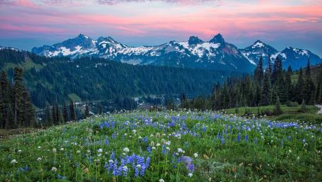 Majestic Mountains and Wildflower Meadow Scene wallpaper