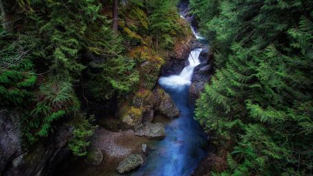 Serene River Winding Through Lush Forests wallpaper