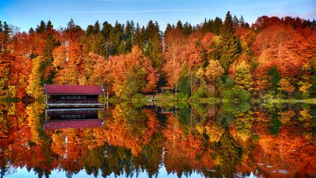 Autumn Serenity by the Lake wallpaper