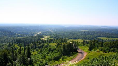 Winding Road Through Lush Green Landscape wallpaper
