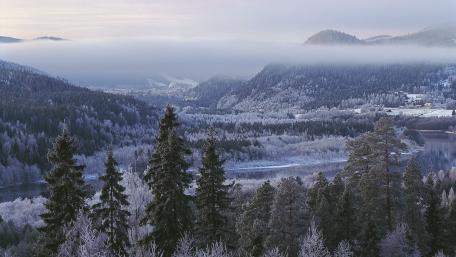 Winter in Sweden wallpaper