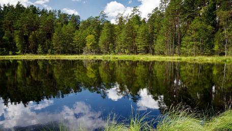 Tranquil Lake Reflections in Nature Mood wallpaper