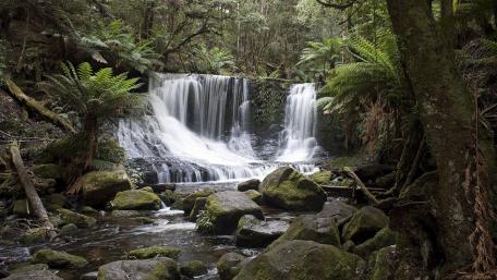 Tranquil Tropical Waterfall Serenity wallpaper