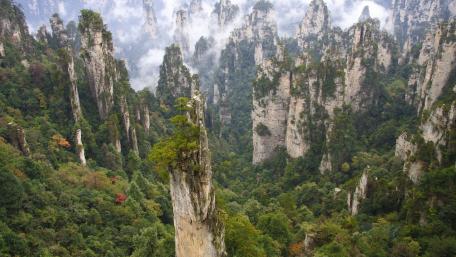Zhangjiajie National Forest Park wallpaper