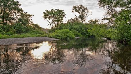 Serene Riparian Zone Reflections in Nature wallpaper