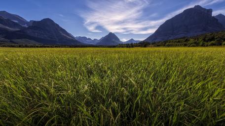 Majestic Mountains and Lush Grassland View wallpaper