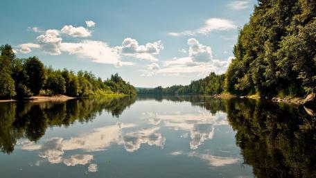 Tranquil Backwater Reflections in Nature wallpaper
