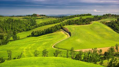 Serene Green Hills in Tranquil Landscape wallpaper
