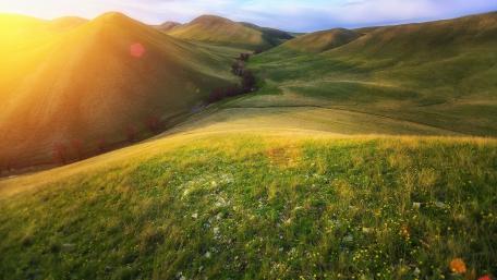 Serene Green Hills at Sunset wallpaper