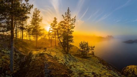Golden Sunset Surrounded by Serene Trees wallpaper