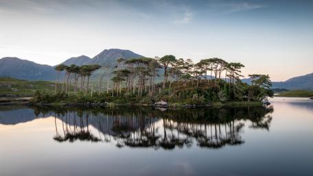 Pine Island (Connemara National Park) wallpaper