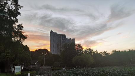 Urban Serenity at Dusk wallpaper