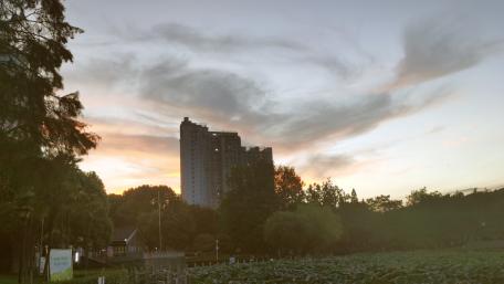 Urban Sunset Over Silhouetted High-Rise Buildings wallpaper