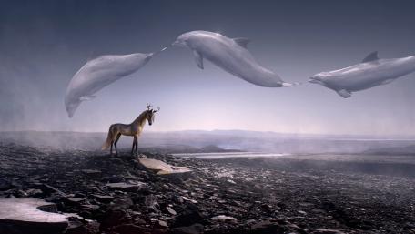 Majestic Beings in Dreamland wallpaper