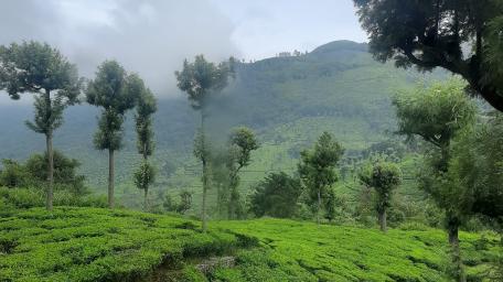 Coonoor (India) wallpaper
