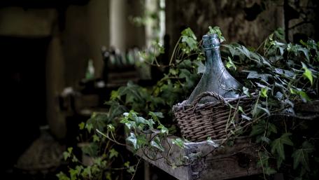 Vintage Ivy Overgrown Wine Bottle Wallpaper wallpaper