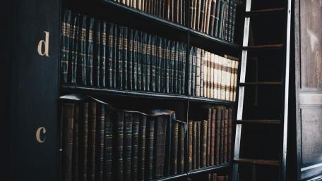 Timeless Library Charm wallpaper
