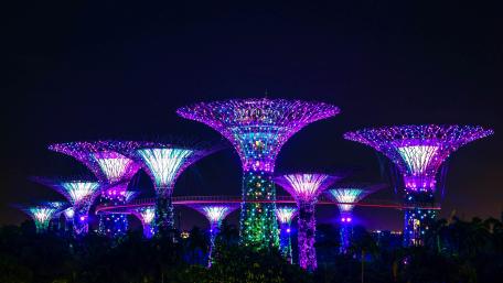 Supertree Grove wallpaper