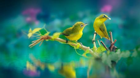 Vibrant Little Birds Amidst Lush Greenery wallpaper