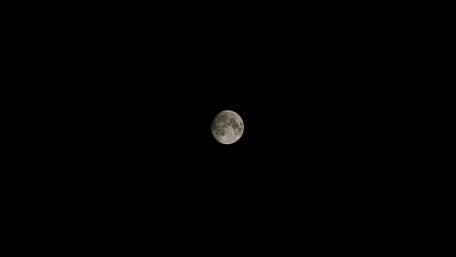 Full Moon Serenity Against Dark Sky wallpaper