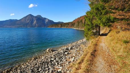 Serene Lakeside Pathway Amidst Nature's Beauty wallpaper